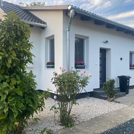 Dora Vendeghaz Apartment Letenye Bagian luar foto